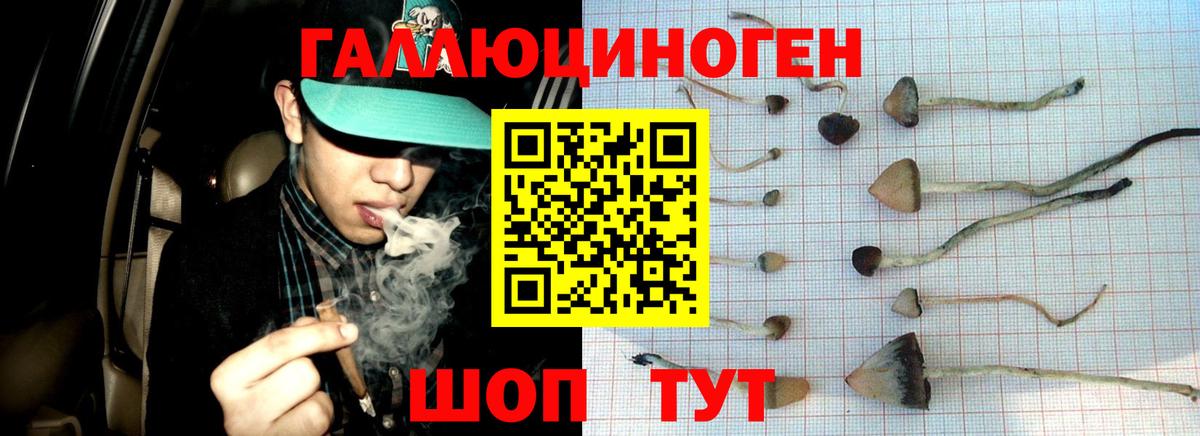 Галлюциногенные грибы Magic Shrooms Котлас