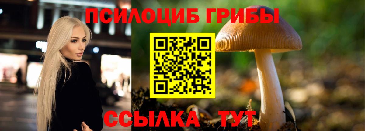 Галлюциногенные грибы MAGIC MUSHROOMS  Псилоцибиновые грибы ЛСД  Котлас  Вход с VPN 